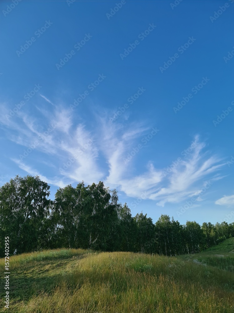 Obraz premium landscape with trees and clouds