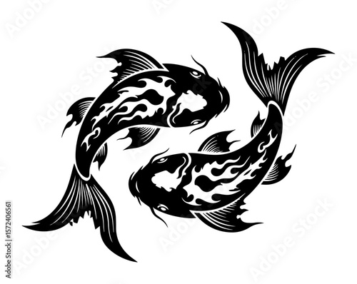 koi fish yin yang symbol vector illustration