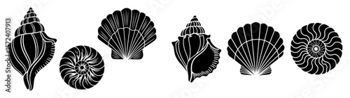 seashells silhouette vector icon collection