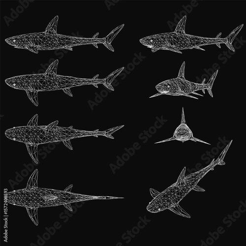 Six great white sharks are arranged symmetrically on a black background, creating a striking contrast. Each shark slightly overlaps the one below, showcasing detailed fins, scales, and piercing eyes.