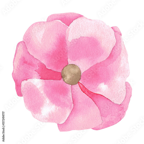 Pink watercolor flower. Hand painted Anemone floral isolated illustration for Postcards, Packaging, invitation, wrapping paper, print, design