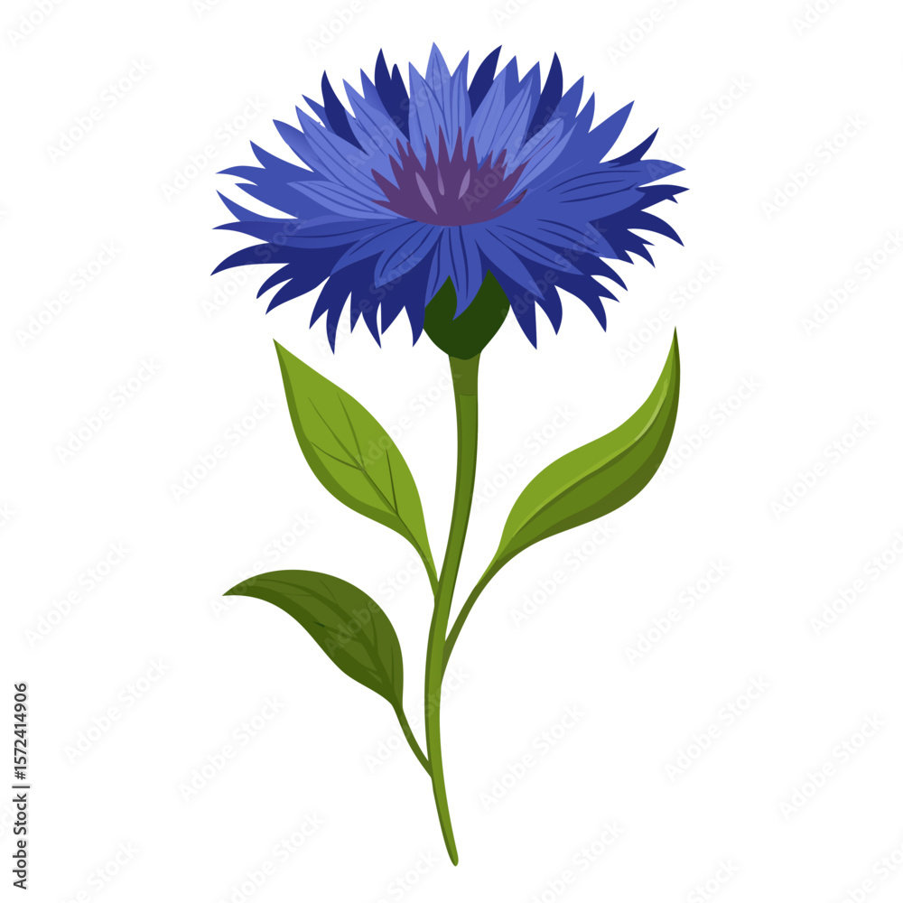 custom made wallpaper toronto digitala cornflower (bachelor's button) featuring a vibrant blue flower with fringed petals and a purple center, supported by a green stem with elongated leaves