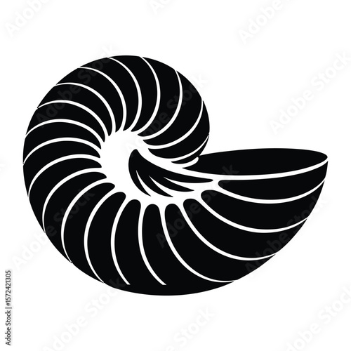 Shell Cracks Silhouette, Vector, Illustration, Outline, Line Art, Icon, White Background.