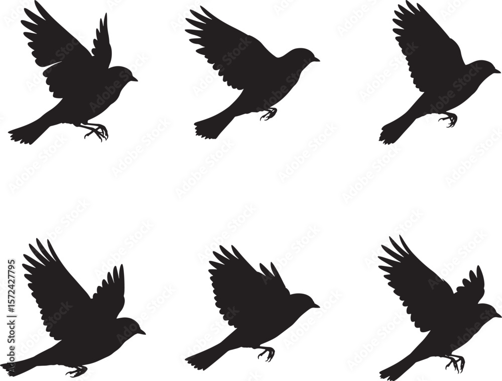 Fototapeta premium Six silhouettes of a bird in flight showing wing and tail movement