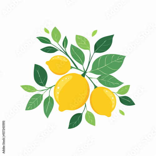 A vibrant citrus fruit, ripe and juicy, hangs from a healthy orange tree branch with lush green leaves, ready to be picked