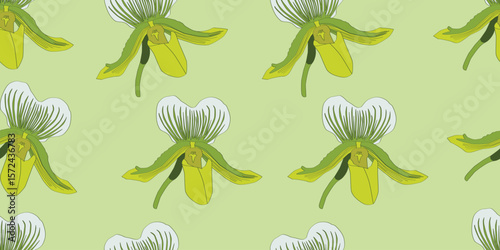 Seamless pattern tropical flower, watercolor style, paphiopedilum orchids on light green background.  Lady's slipper flower.