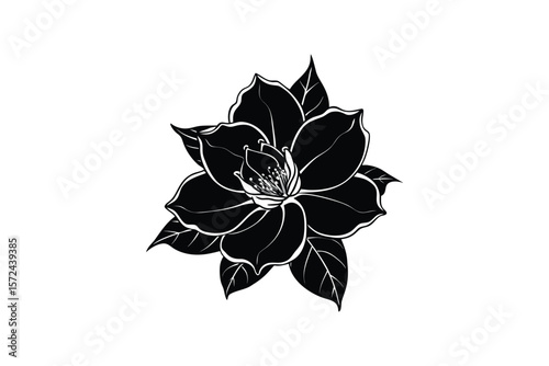 Elegant Black and White Magnolia Flower Illustration for Design Projects