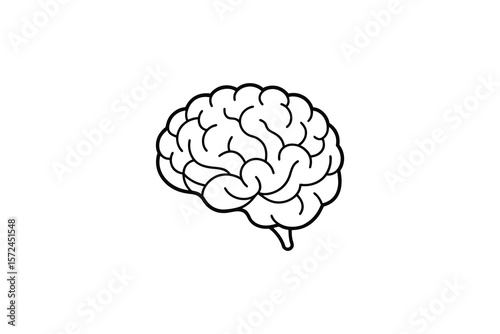 Human Brain Anatomy Illustration in Simple Black and White Silhouette Style