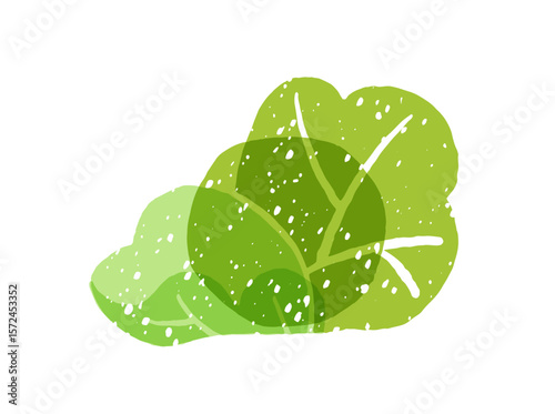 Icon of healthy cabbage. Doodle salad leaves, farm plant, fresh organic vegetable. Abstract tree, bush with green foliage, leafage. Flat isolated hand drawn vector illustration on white background