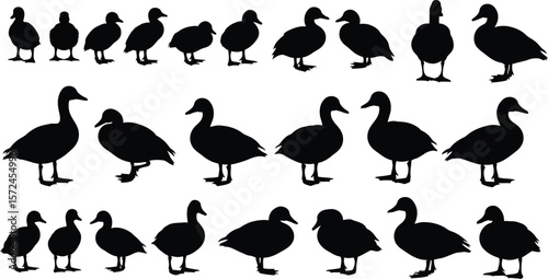 Silhouette illustration of ducks and ducklings in various poses