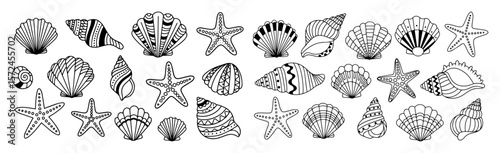 decorative seashells and starfish vector collection