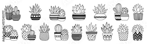 cute potted plants and succulents illustration set