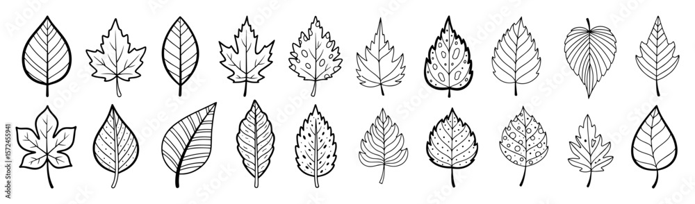 Fototapeta premium autumn leaves and tree foliage decorative pack