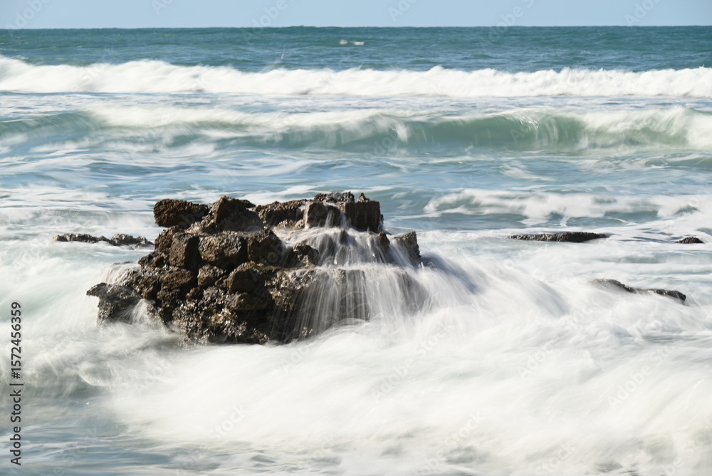 Obraz premium Nature photography, landscape, street photography, animal photography, birds, buildings, ocean waves, beaches, sunsets