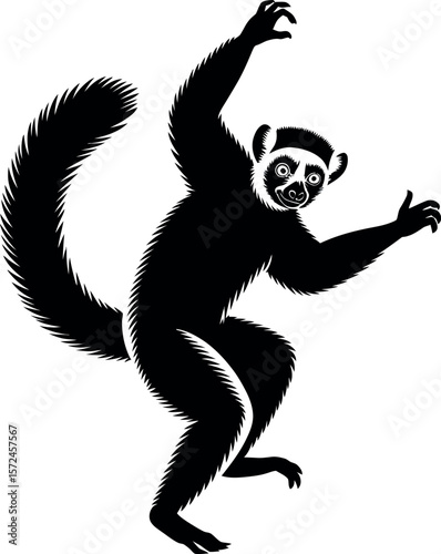 Diademed Sifakas silhouette on white background