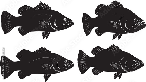 Barramundi Fish silhouette 