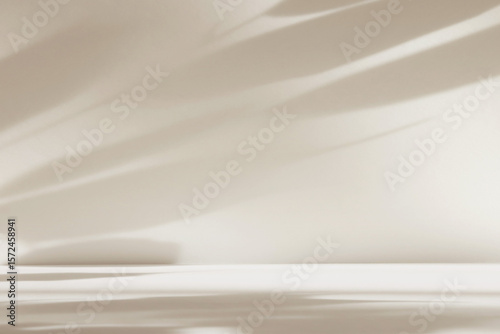Abstract white color studio background for product presentation. Empty room with shadows of window and flowers and plant leaves . 3d grey room with copy space. Summer concept. Blurred backdrop.