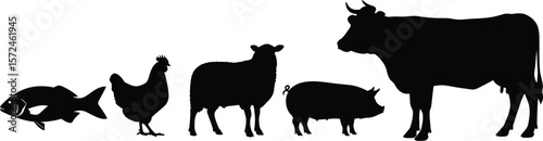 Silhouettes of farm animals and fish arranged on a white background