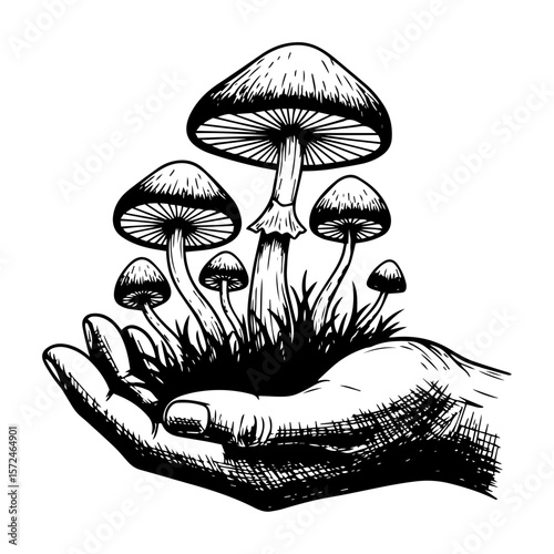 hand holding magic mushrooms psilocybin sketch vector illustration