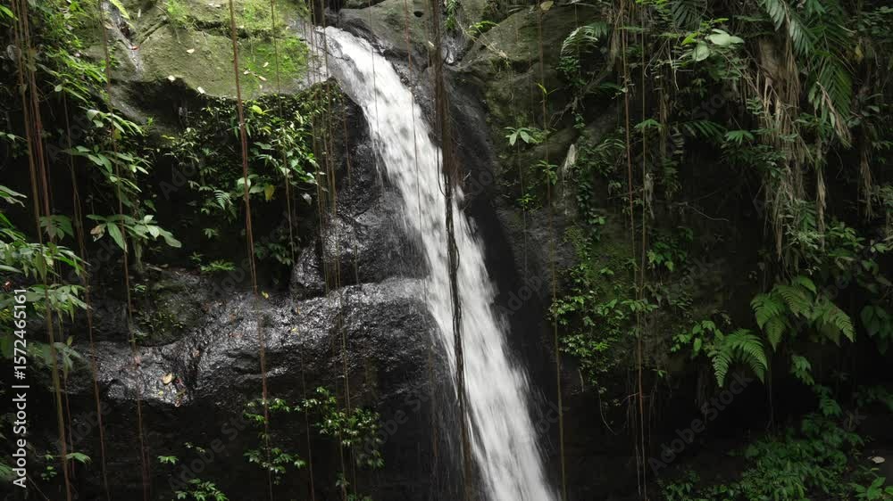 Goa Gojah temple Waterfall tropical jungle water cascade Ubud Bali Indonesia dense canopy Goa Gojah temple Waterfall tropical jungle water cascade Ubud Bali Indonesia dense canopy