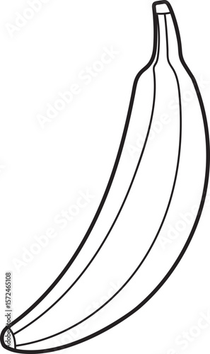 Single Line Drawing of a Plantain Banana