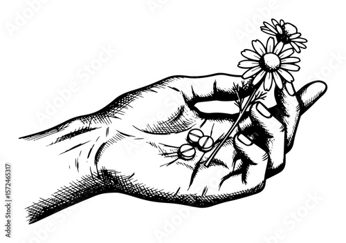 hand holding flower and pills choice vector sketch illustration