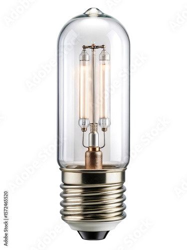 Vintage style edison bulb clear glass double filament