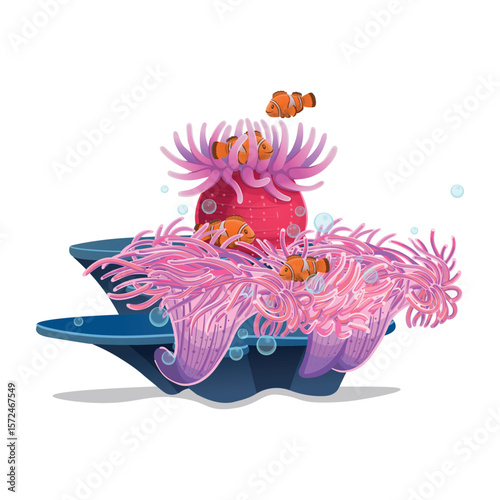 Actinia with clownfish, anemone. Vector illustration of coral reef in cartoon.