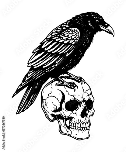 skull with raven bird gothic death symbol