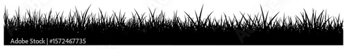 grass silhouette border natural background vector illustration