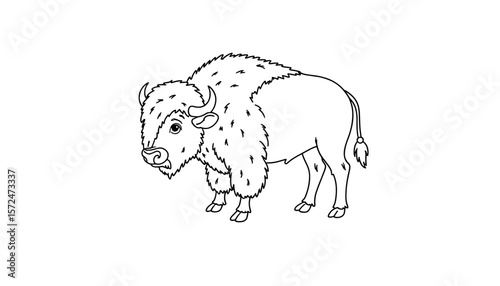 Bison coloring page in bold and easy line art style  