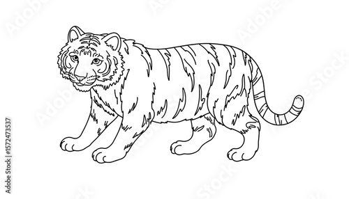 Tiger coloring page illustration for creative activities  