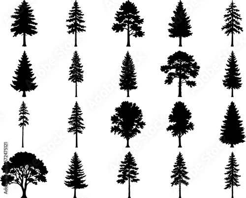 Tree Silhouette Collection | Variety of Evergreen and Deciduous Trees for Forest and Nature Designs