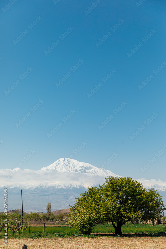 Fototapeta premium Beautiful landscape on Mount Ararat spring