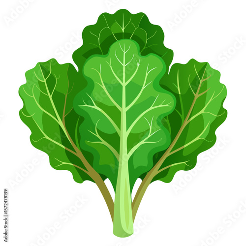 This vector illustration features a vibrant kale with clean lines and modern flat design. Perfect for use in health-related visuals, recipe guides, eco-themed projects, or organic food branding. 
