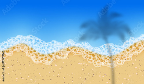 Palm tree shadow on sandy beach