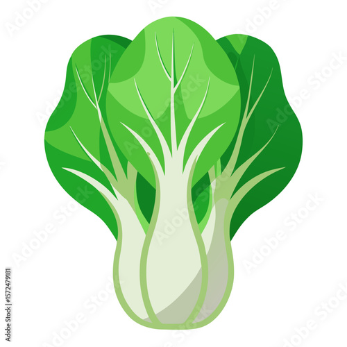 This vector illustration features a vibrant bok choy with clean lines and modern flat design. Perfect for use in health-related visuals, recipe guides, eco-themed projects, or organic food branding. 