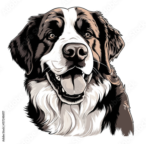 Saint Bernard dog isolated on white in vector art style