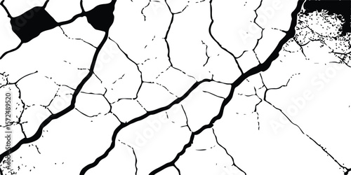 Distressed Vector Texture Overlays of Cracked Surfaces from Earthquakes, Featuring Black, White, and Grey Wall, Floor, and Land Backgrounds with Realistic Damage Effects.
