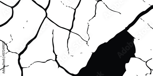 High-Quality Vector Texture with Cracks and Fractures from Earthquake Damage on Land, Floor, and Wall Surfaces in Black, White, and Grey, Ideal for Natural Disaster Simulations and Distressed Backgrou