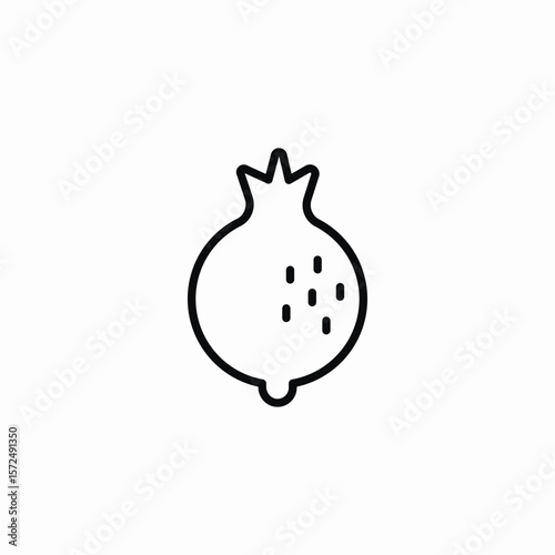 pomegranate fruit icon sign vector