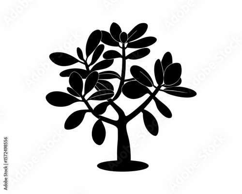 creative Silhouette simple Jade Plant (Crassula ovata) Vector Illustration 