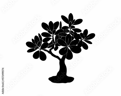 creative Silhouette simple Jade Plant (Crassula ovata) Vector Illustration 