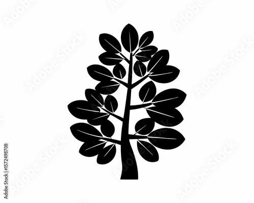 creative Silhouette simple Jade Plant (Crassula ovata) Vector Illustration 