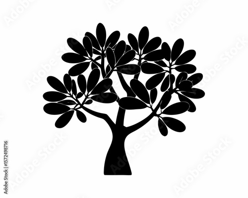 creative Silhouette simple Jade Plant (Crassula ovata) Vector Illustration 