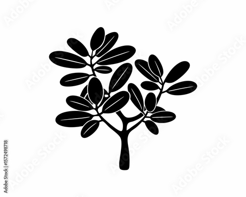 creative Silhouette simple Jade Plant (Crassula ovata) Vector Illustration 
