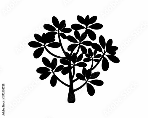 creative Silhouette simple Jade Plant (Crassula ovata) Vector Illustration 