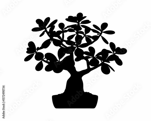 creative Silhouette simple Jade Plant (Crassula ovata) Vector Illustration 
