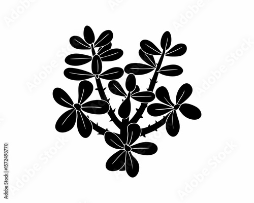 creative Silhouette simple Jade Plant (Crassula ovata) Vector Illustration 