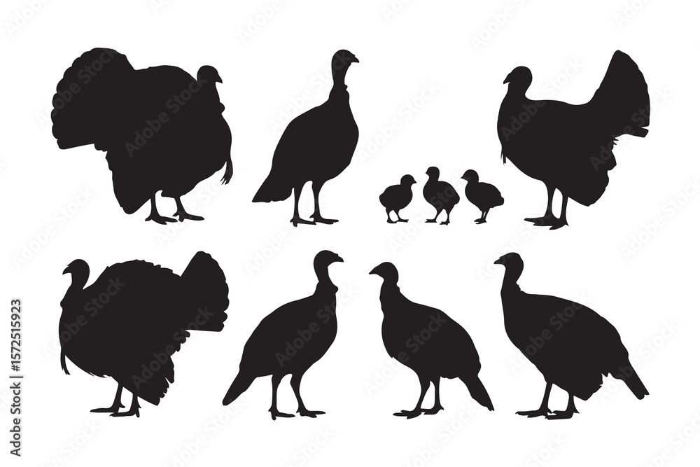 Ταπετσαρία Collection of turkey and poult silhouettes in various poses silhouette vector